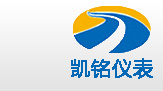 金湖91视频在线观看免费大全仪表有限公司LOGO